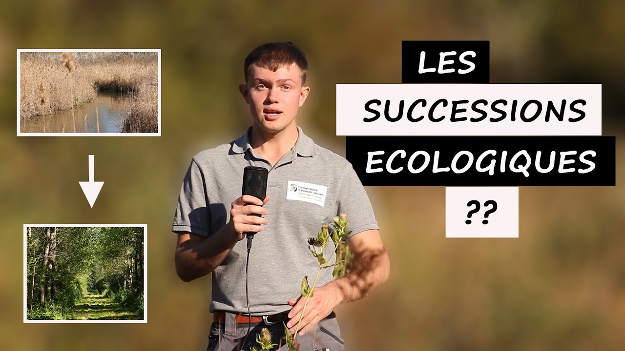 LES SUCCESSIONS ECOLOGIQUES : Qu'est-ce que c'est ?  #ecologie