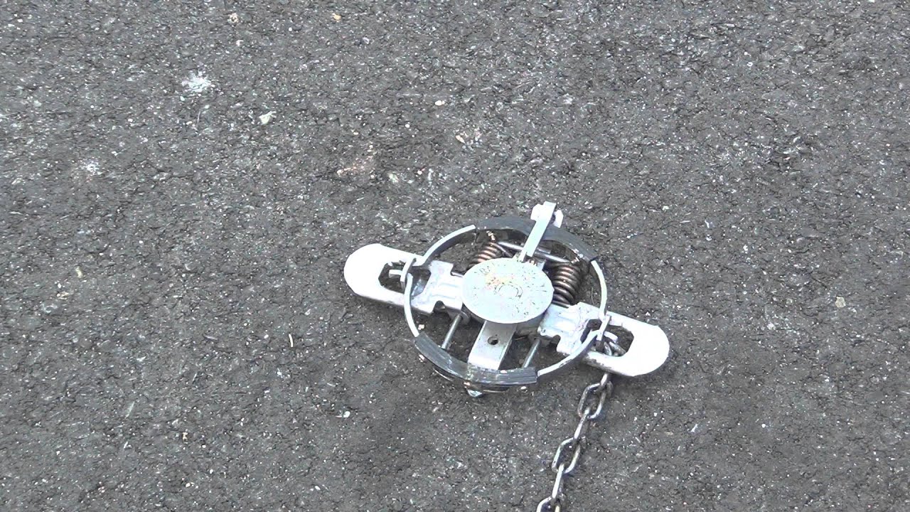 Jaw Steel Trap