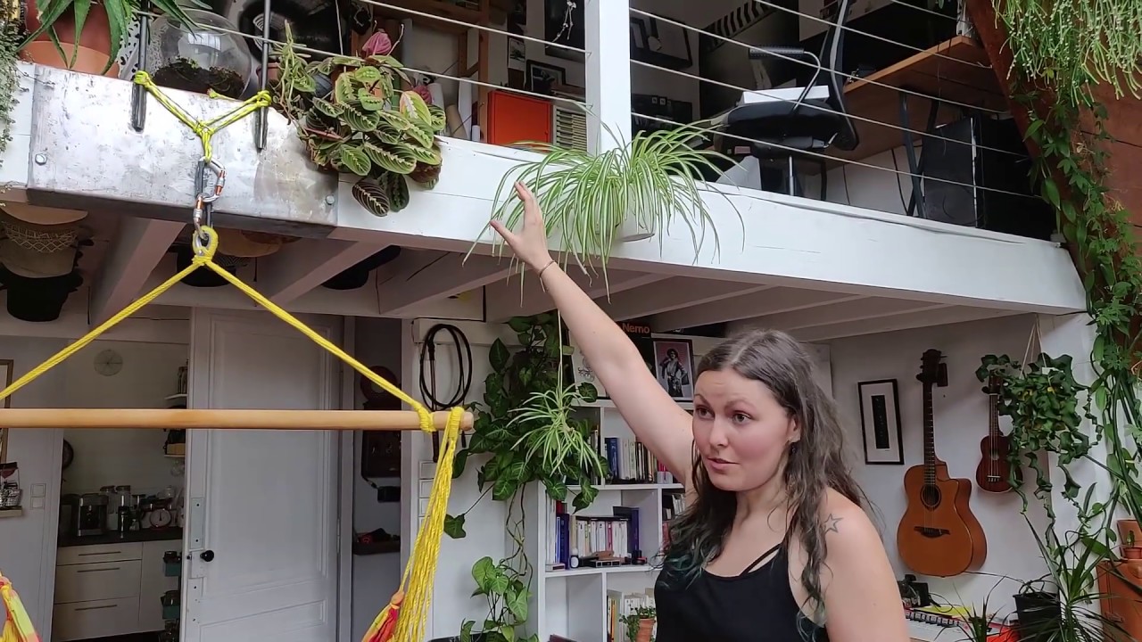 PLANT TOUR 80 PLANTES : A la rencontre des plantes addict épisode 2