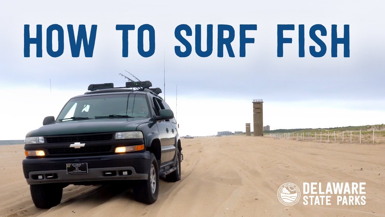 Surf Fishing at Delaware State Parks