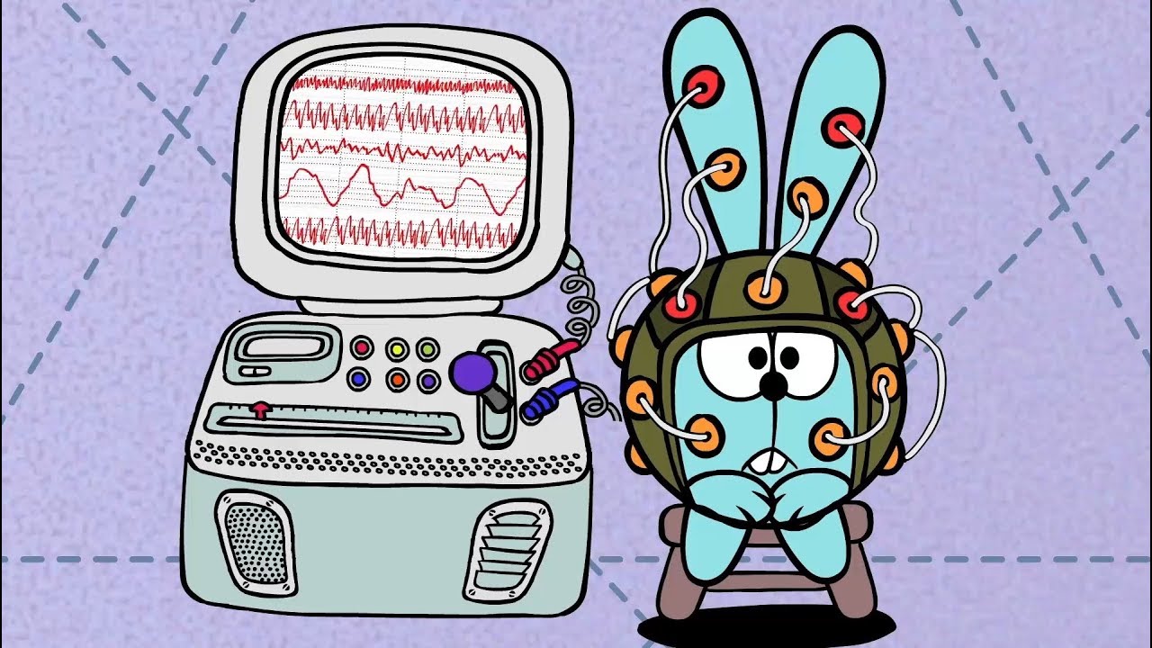 ❗❓Наука для детей - Мозг и рецепторы. Сборник | Смешарики Пинкод