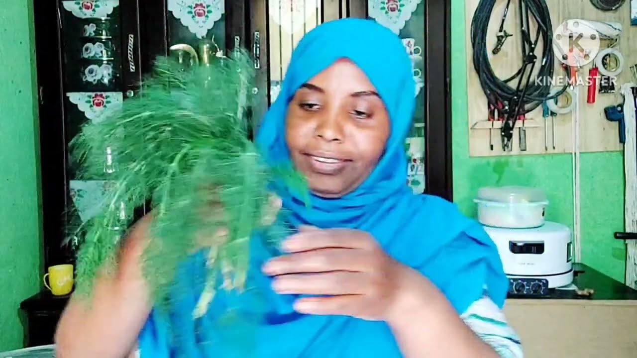 የ እንስላል ሻይ  ለ ለ ኢንፌክሽን👍👍👍👍