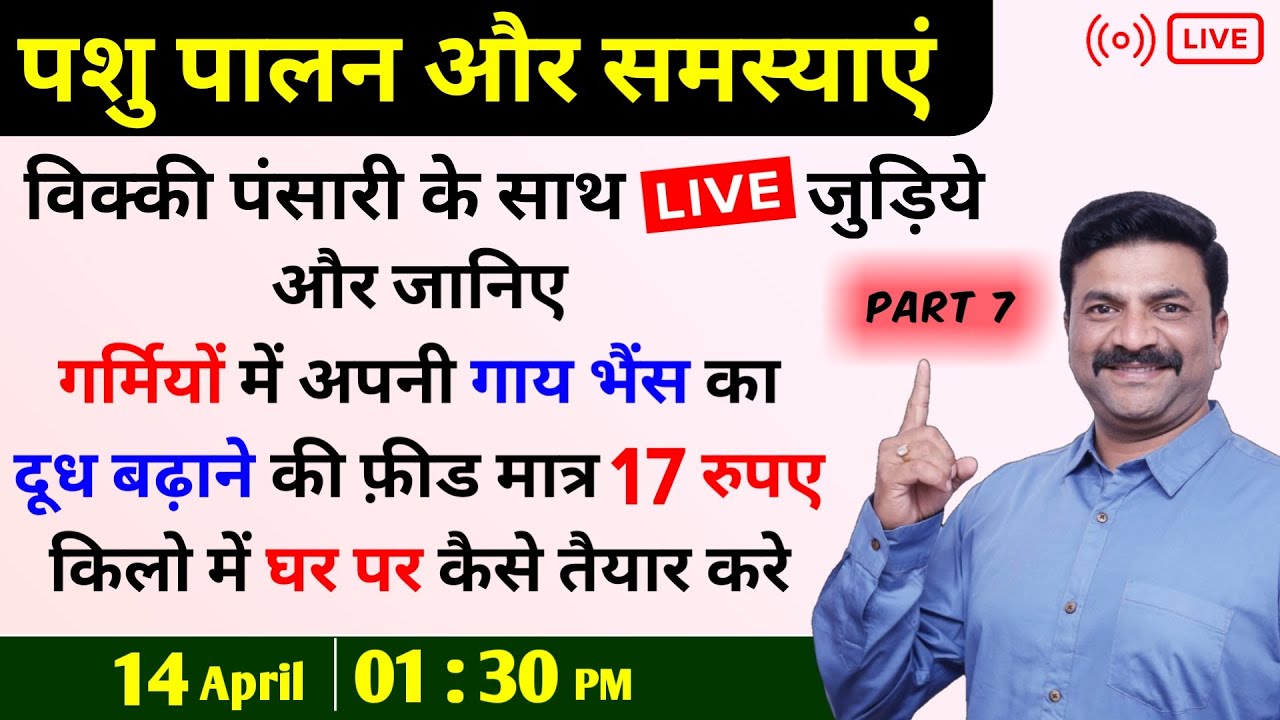गर्मियों में गाय भैंस का दूध बढ़ाने की फ़ीड मात्र 17 रुपए में तैयार करे , Vicky Pansari के साथ Live |