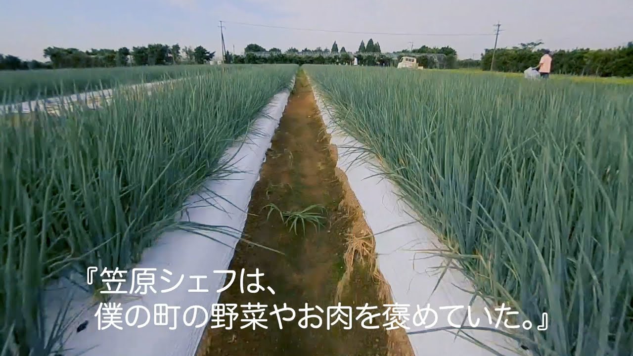 大崎町PRムービー「僕は、鹿児島県大崎町の、カブトムシ。」　ショートVer.