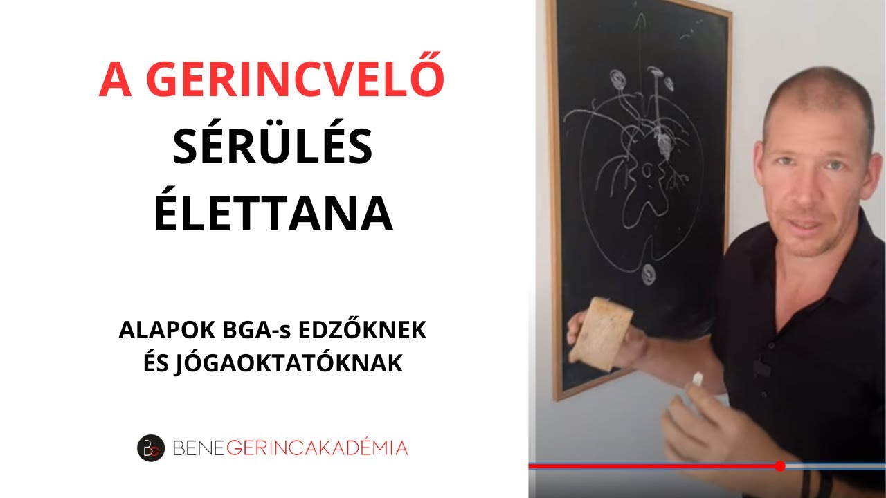 A gerincvelő sérülés élettana ( BGA-s edzőknek / jógaoktatóknak )