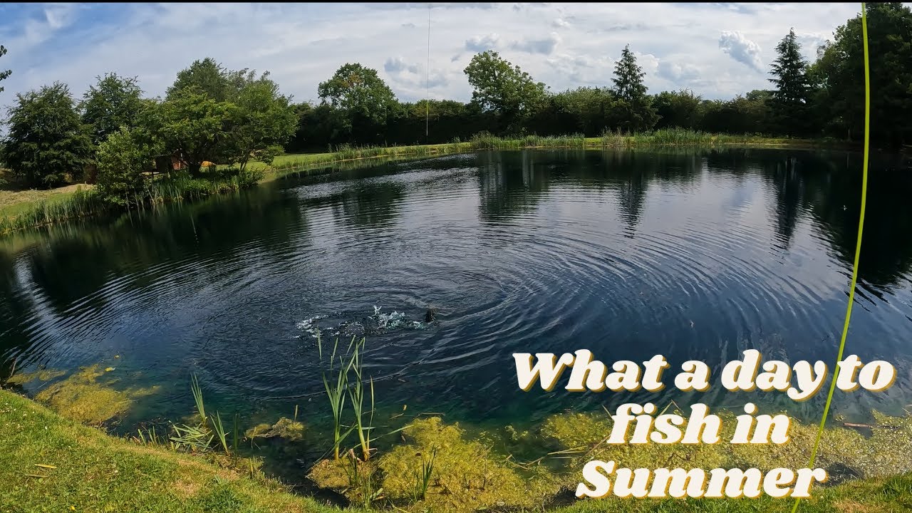 Yeaveley Summer  Fly Fishing in Blue water