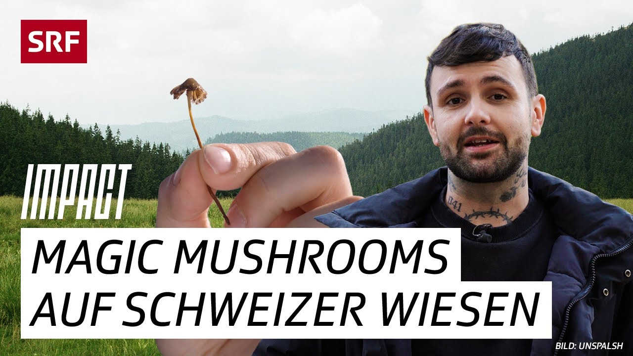 Zauberpilze &ndash; Zwischen Rausch, Heilung und Kriminalit&auml;t | Impact | SRF