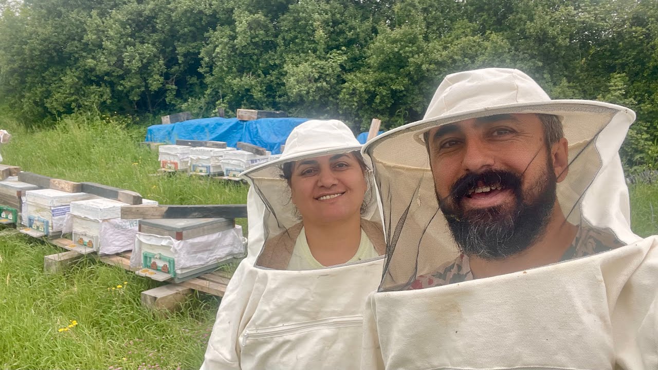 Arıcılık serüvenimiz, 2024'ün ilk oğulları 🐝