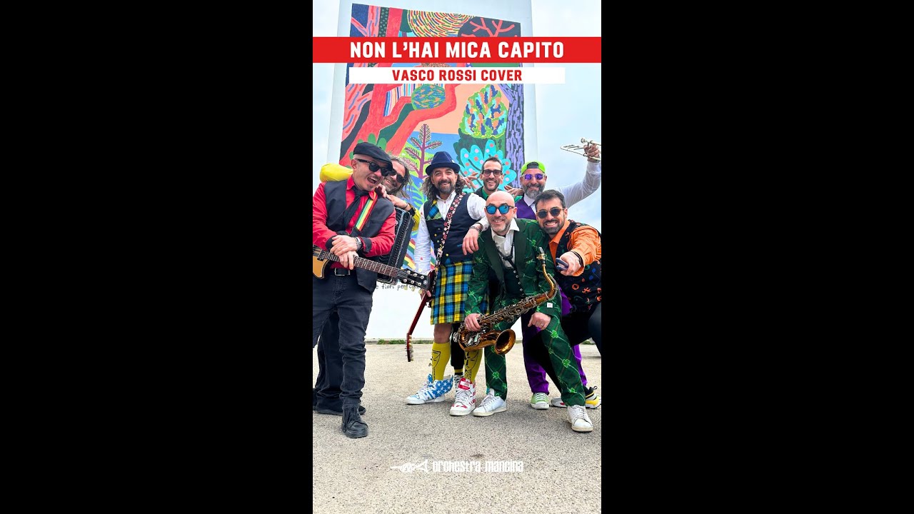 NON L'HAI MICA CAPITO - VASCO ROSSI COVER