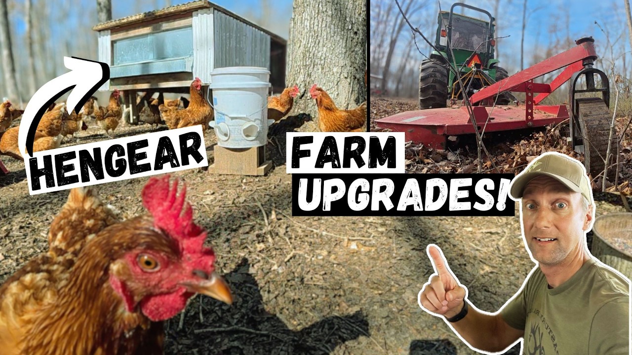 Улучшение и модернизация нашей небольшой фермы!
