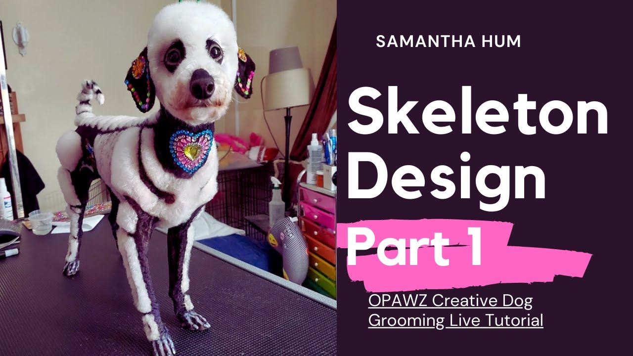 Skeleton Dog Design from Samantha Hum Part 1 - OPAWZ Creative Pet Grooming Live Tutorial