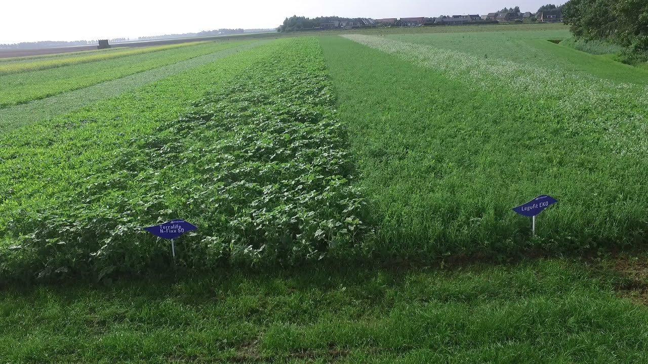 Groenbemesterdemo Creil 2021