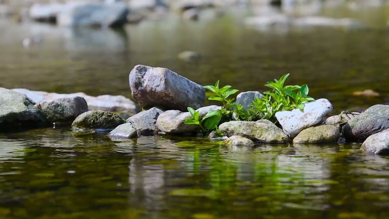 Effet sonore bruit de l'eau relaxante