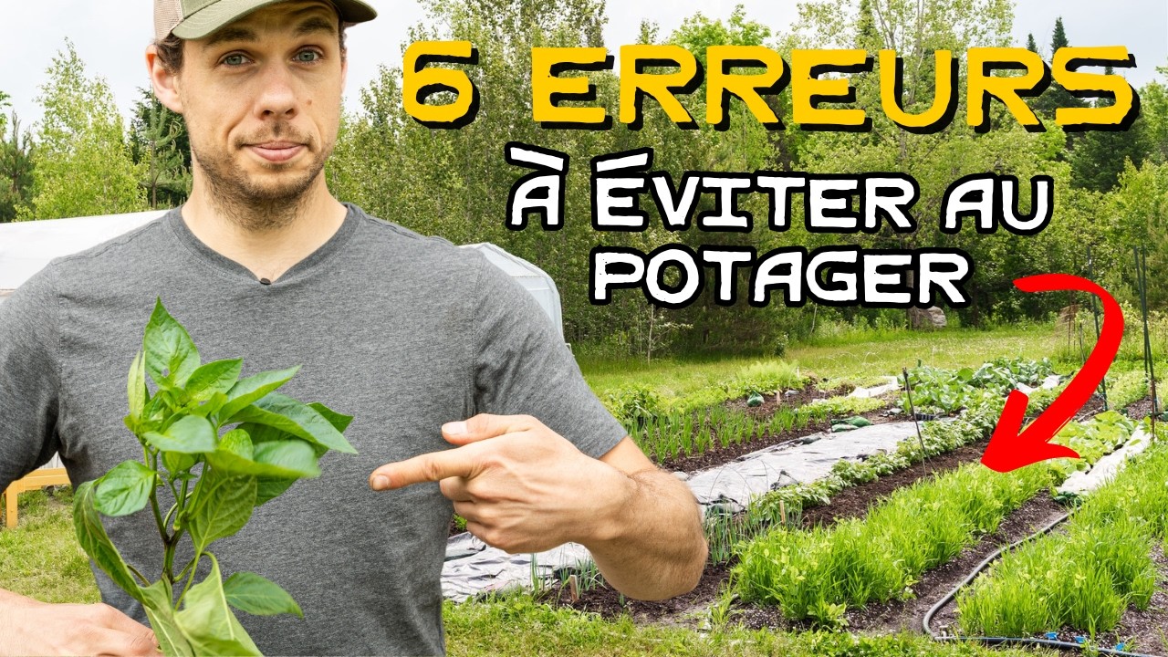 Ne tombez PAS dans ces PIÈGES ! 6 erreurs à ÉVITER pour un potager nourricier !