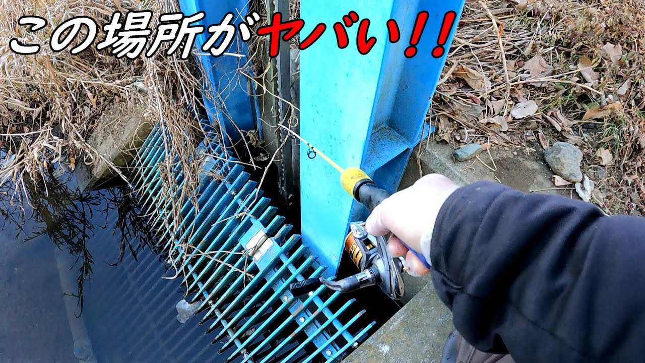 この場所がヤバ過ぎる！！