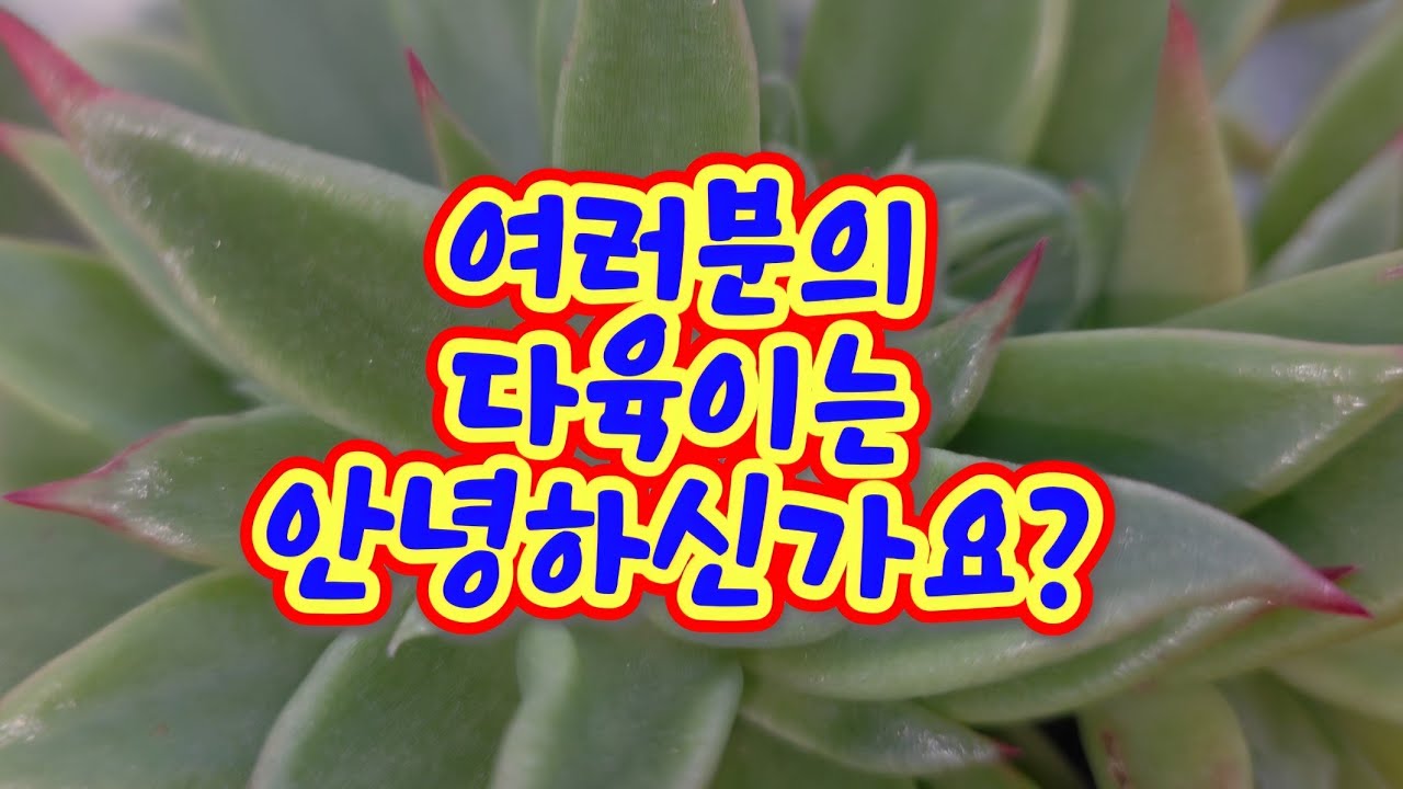 제 못난이들보고 너무 놀라지마세요😅