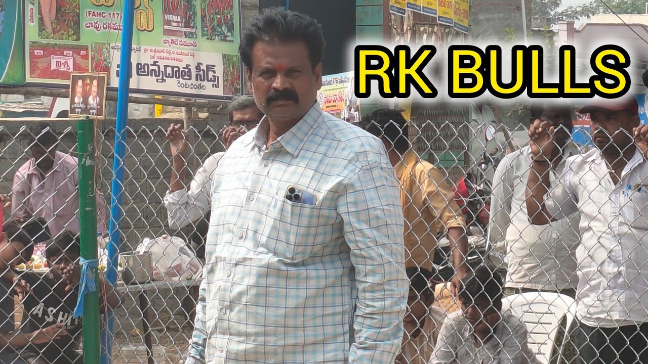 రెంటచింతల గ్రామం జూనియర్ విభాగం 💥4వ జత💥RK BULLS💥(బాలయ్య జయసింహ) 💥