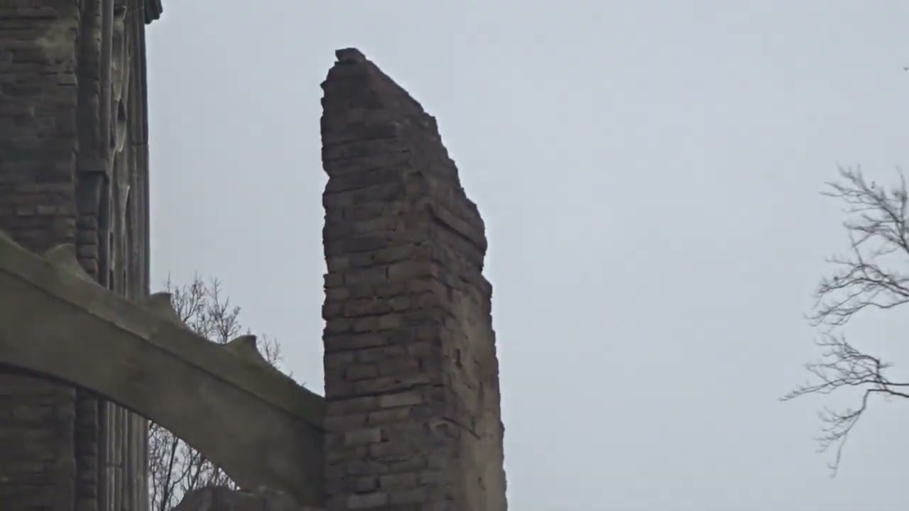 Bouw Update Danse Macabre 29-02-24 @Efteling