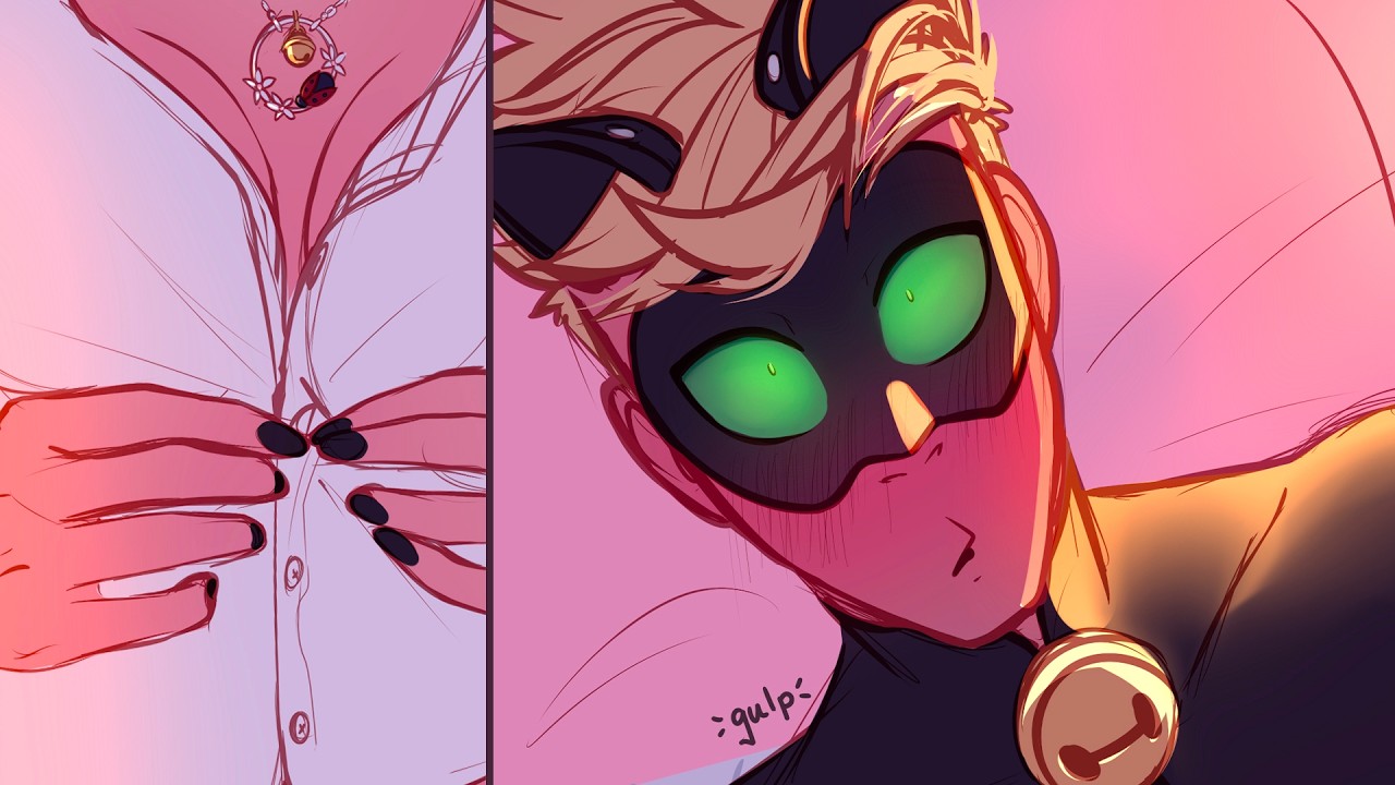 The Ladynoir Texts | 14 - 24 Parts [Miraculous Ladybug Comic Dub]