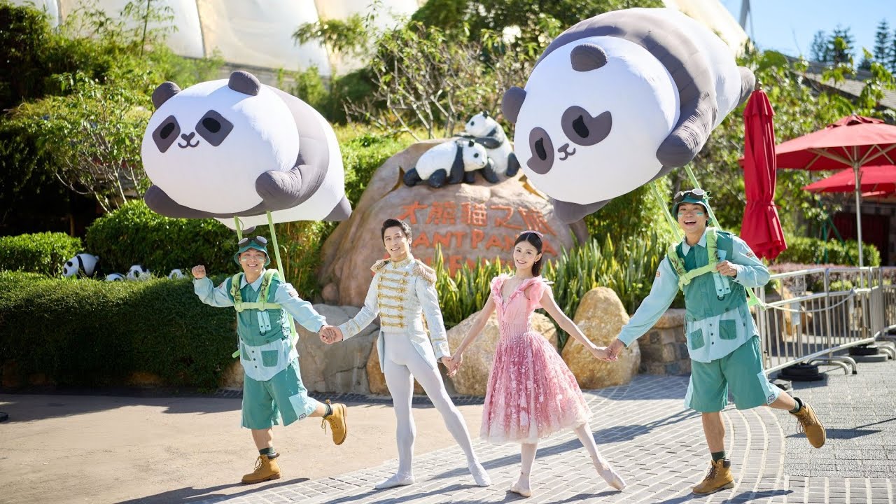 海洋公園大熊貓雙胞胎加加、得得首次亮相《胡桃夾子》🐼🎄
