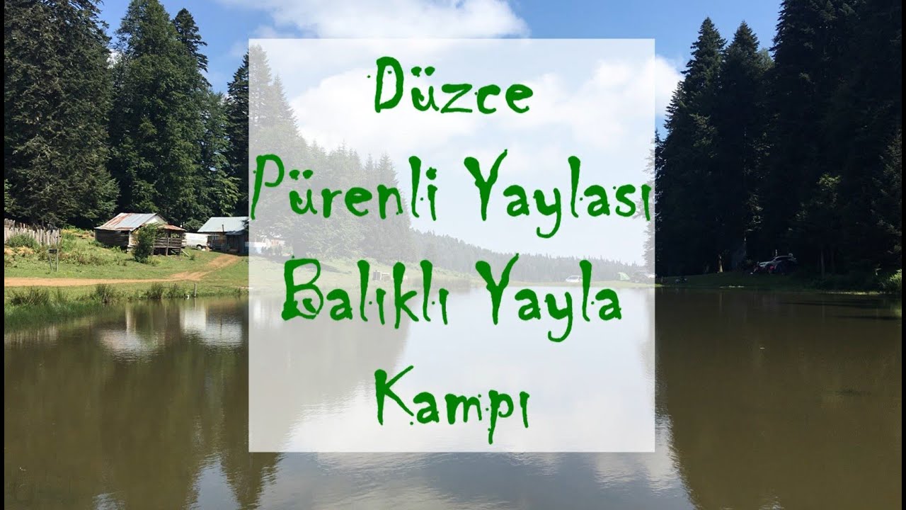 Düzce Pürenli Yaylası Balıklı Yayla Kampı