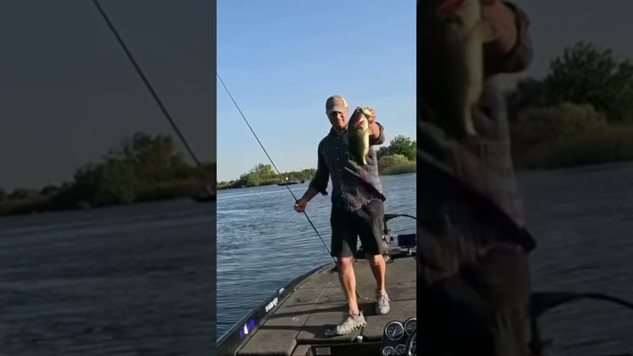 California Delta Bluegill Wakebait, mini awaken 