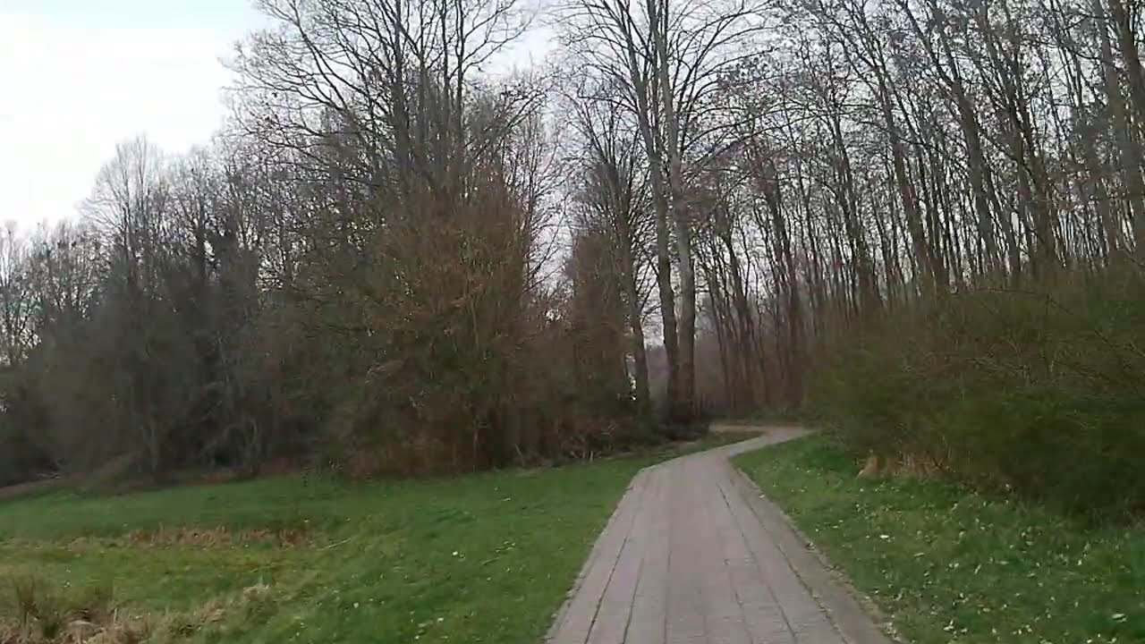 Rondje dierenparkje de Wenke Nieuw Weerdinge 