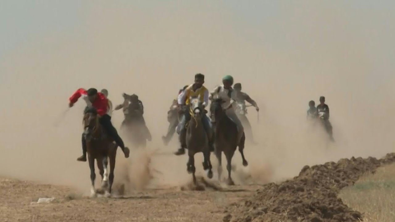 انطلاق مهرجان الخيول العربية الأصيلة في شمال شرق سوريا | AFP