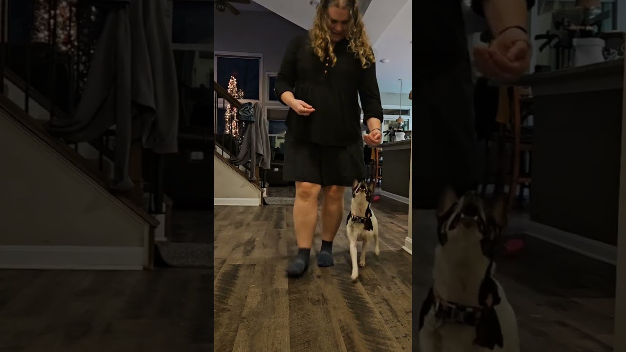 Heelwork & front spin to side