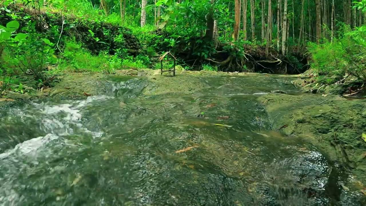 Clear Water Sounds & Wooden Forest Shack |The Sound of Clear Water & a Cozy Wooden Hut in the Forest
