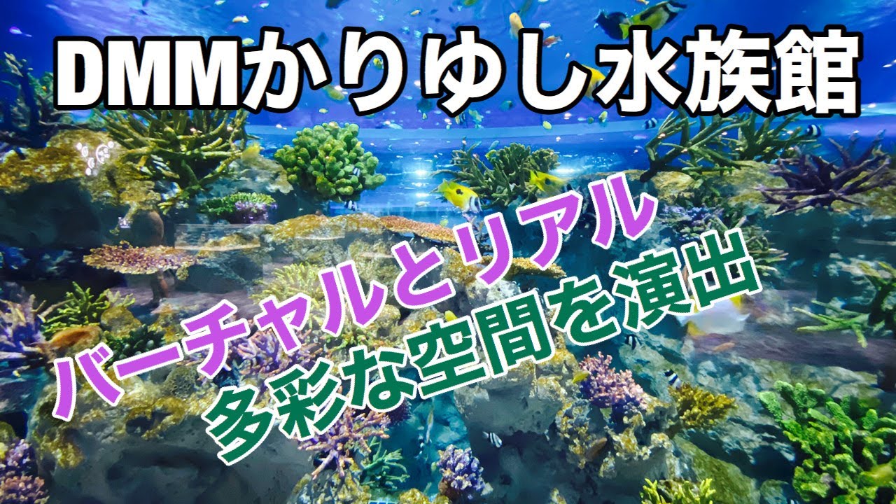 イーアス沖縄豊崎「DMMかりゆし水族館」最新の映像とリアルの世界へ🐠