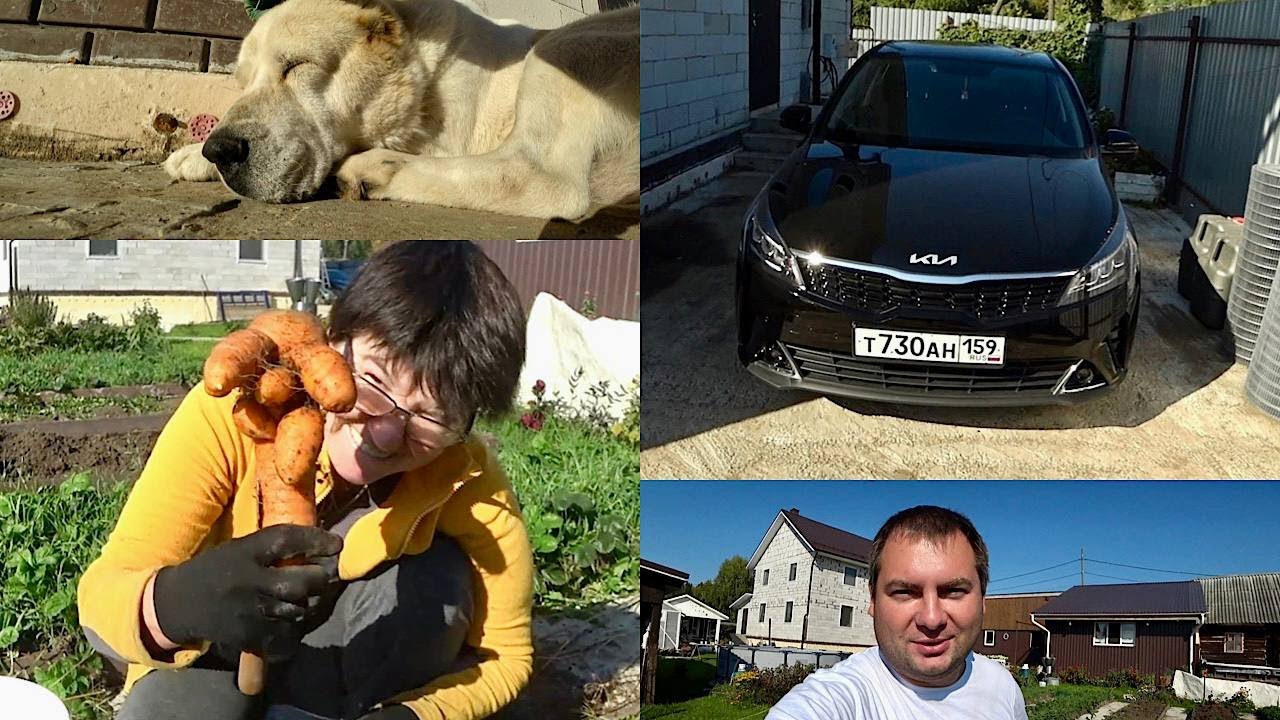 Перемены в семье и бизнесе. Ферма, долги и новые цели