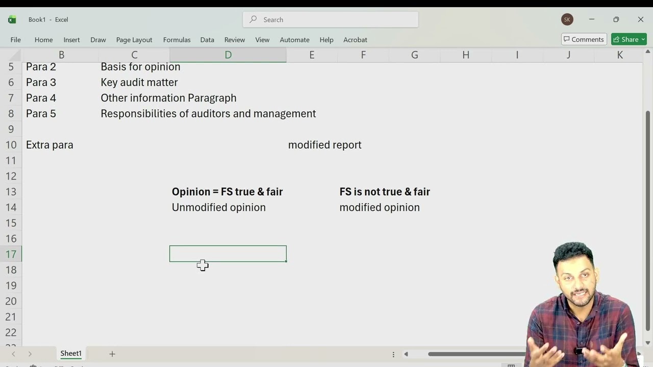 AA Audit report & opinion