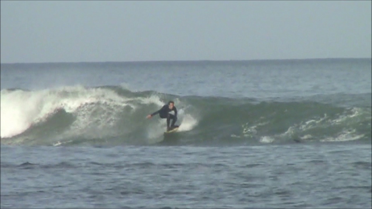 alcyons surf