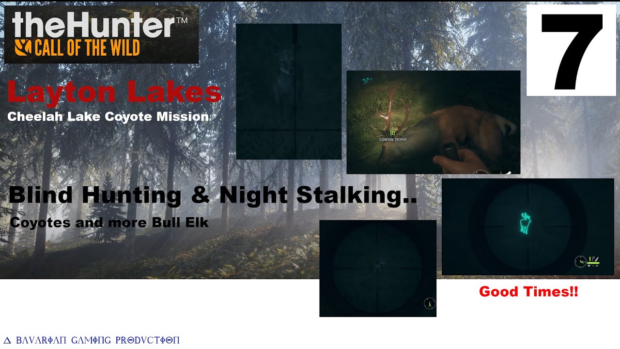 THE HUNTER cotw - 7 - LAYTON LAKES Coyote Missions BLIND HUNTING & NIGHT STALKING Yotes & Bull Elk.