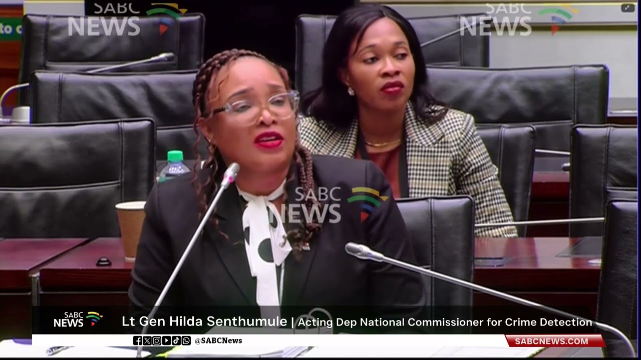 Ad Hoc Committee | Senthumule regrets accepting 10 refrigerators from 
