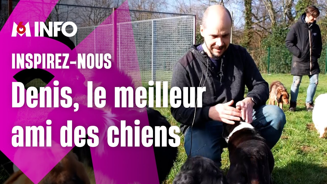 Denis Latour, un comportementaliste animalier au plus près des chiens