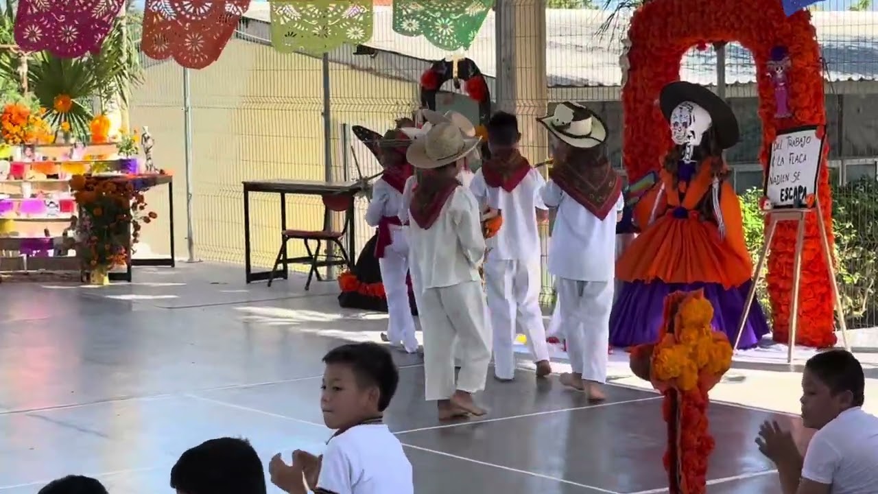 Fejring af de d&oslash;des dag / celebration of the day of the dead 💀🌼
