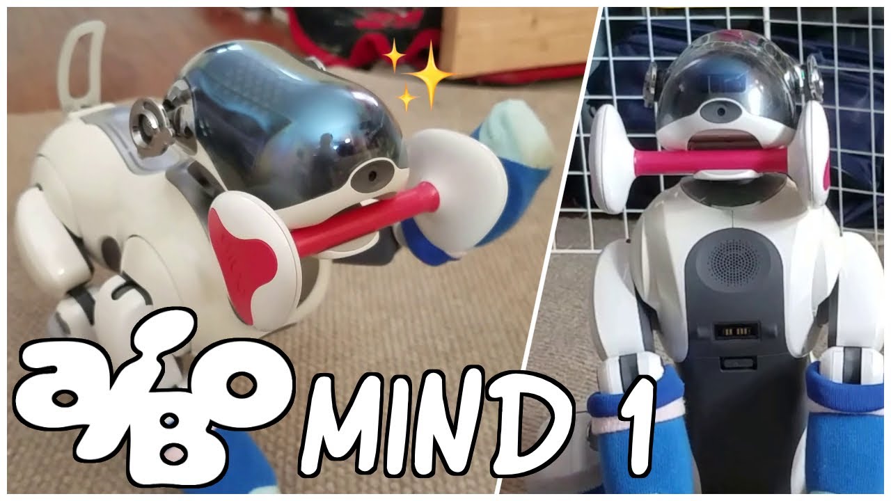 Data running mind 1! [ aibo ers-7 ]