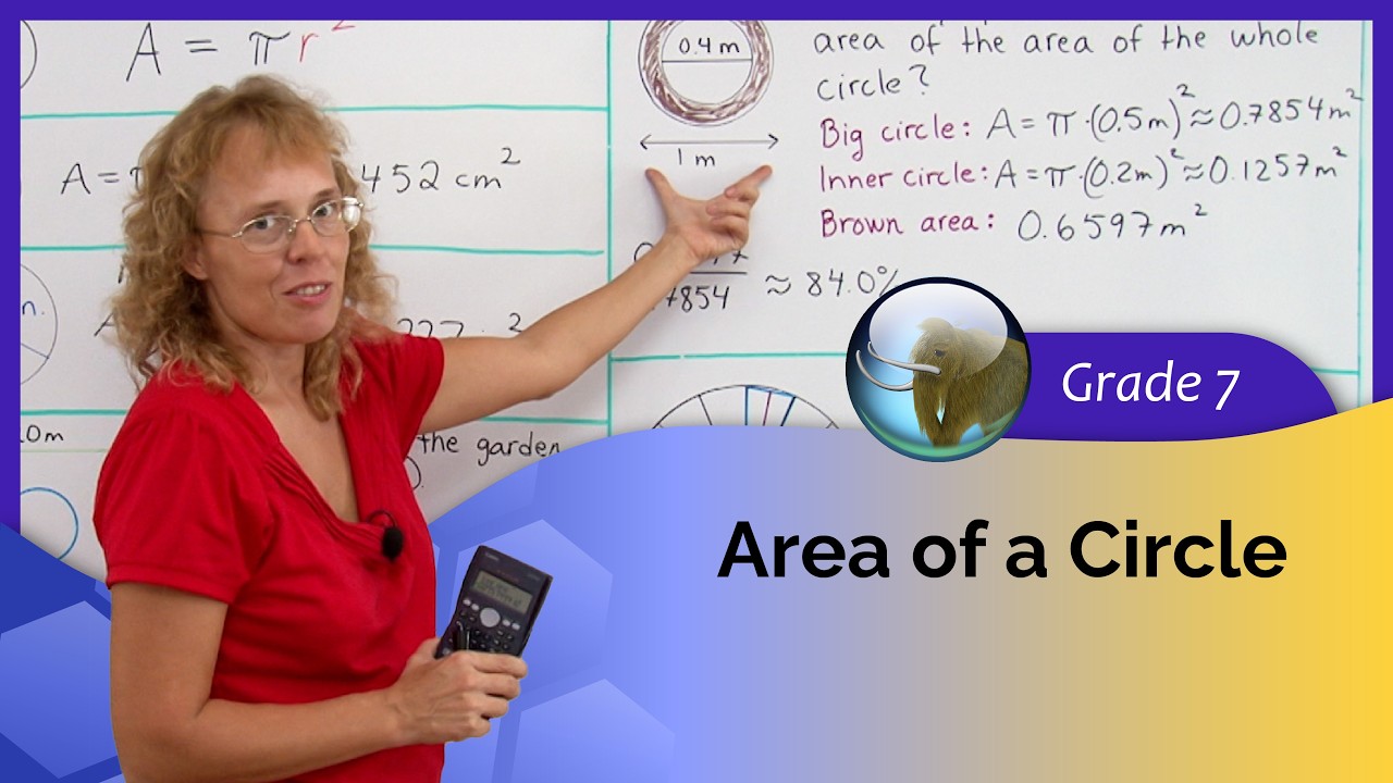 Area of a circle (7th grade math)