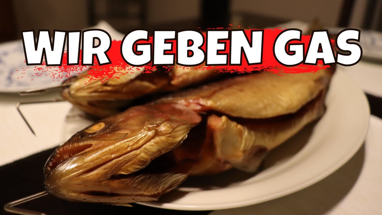 VOLLGAS ❗ | Forellen räuchern im Heißräucherofen und Gasheizung | Methode einfach + schnell erklärt