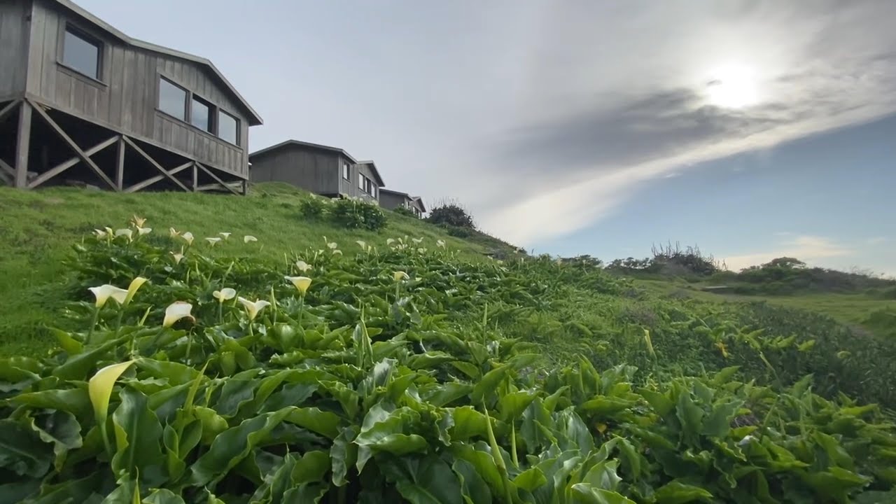 Nature and Cooking Cabin Steep Ravine Windy Ocean Quiet Night Sounds