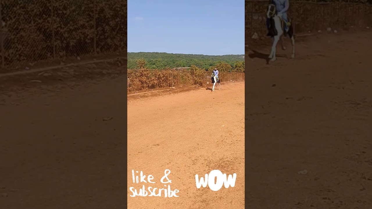 #Horse Riding, mahabaleshwar, Riding Fast