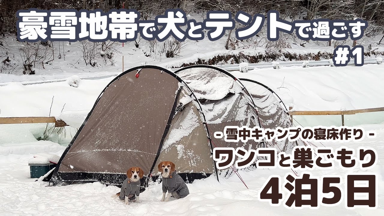 【雪中キャンプ】全てが凍る！？豪雪地帯で年末年始を犬とテントで過ごした記録 ～ 4泊5日年越し雪中キャンプ #1 -犬連れ夫婦キャンプ-