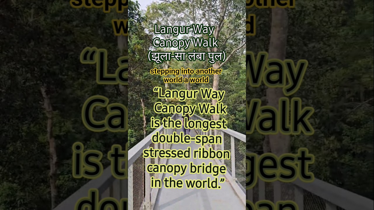 &ldquo;Adventure Above the Trees: The Famous Langur Way Canopy Walk&rdquo;#penang #hills #malaysia