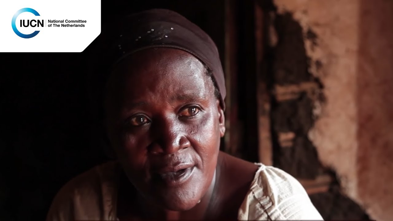 Notre Virunga: Comment mieux servir le peuple du Nord Kivu