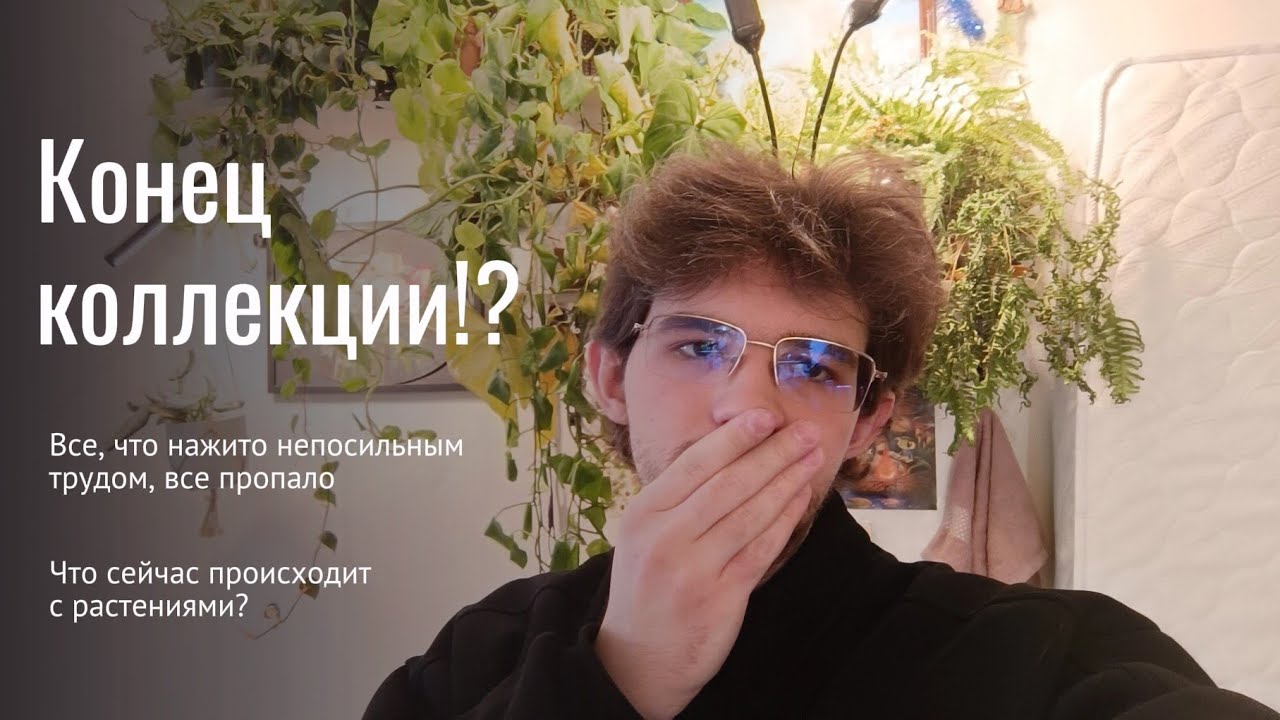 ТРЕХ НЕДЕЛЬНОЕ ОТСУТСТВИЕ и чем это чревато! / Что я дальше планирую делать!