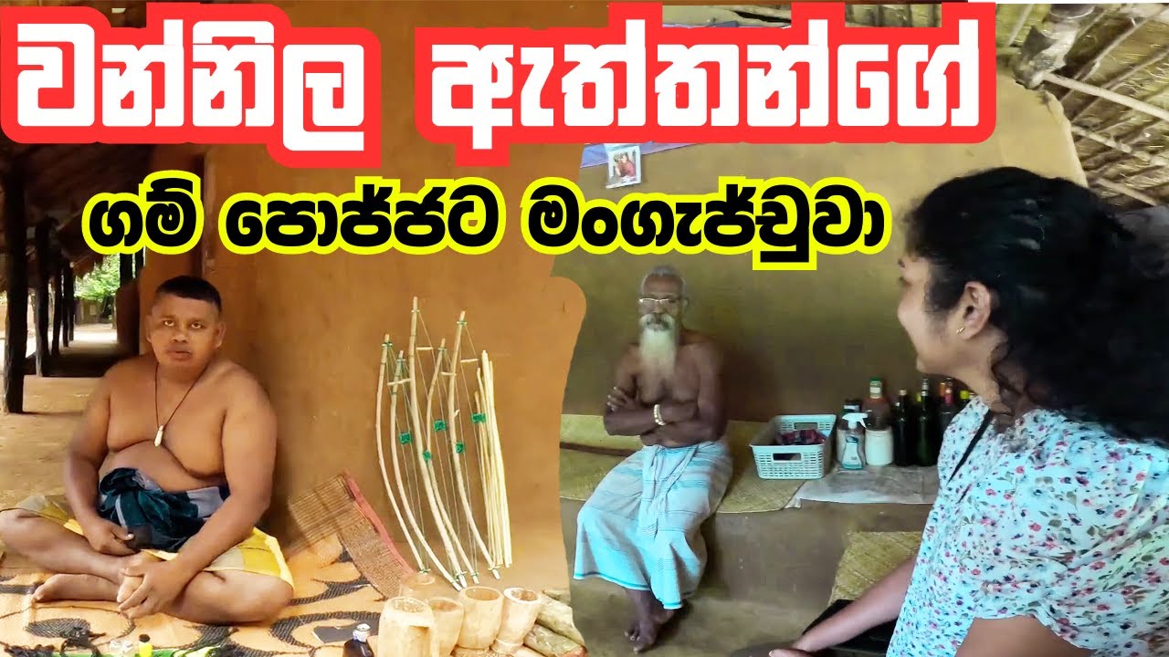 වන්නිල ඇත්තන්ගේ ගම් පොජ්ජට මංගැජ්චුවා | Dambana Vedda Village | Dabana | Vedda