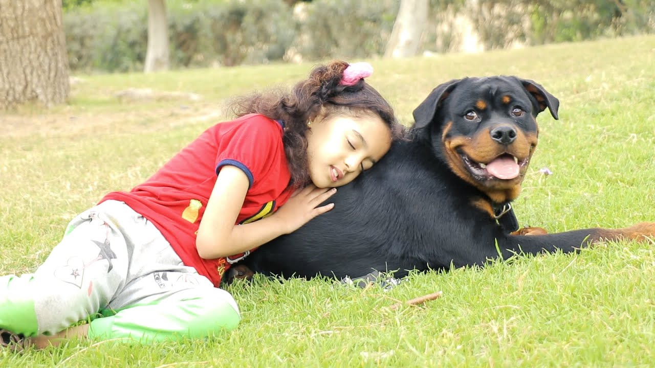 كلب روت يعثر على بنت صغيرة ويربيها👧🐕‍🦺