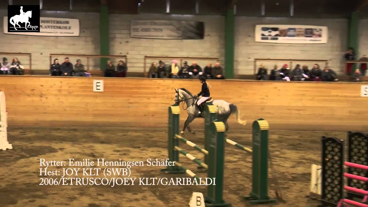LA2 Springning Heste 120 cm 1  del